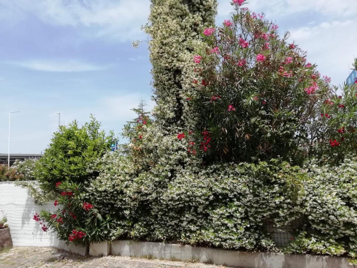 Bed and Breakfast Ma.Di Bb Rocca San Giovanni Exterior foto