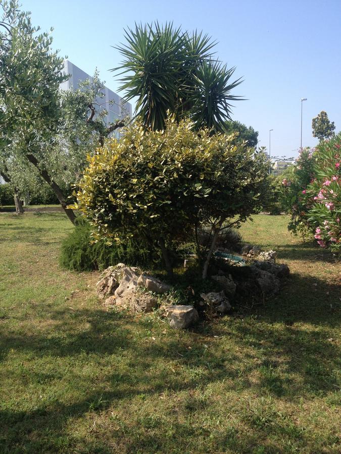 Bed and Breakfast Ma.Di Bb Rocca San Giovanni Exterior foto